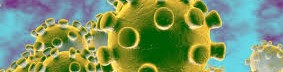 Corona virus: la santé publique a plus de valeur que le dow jones et le cac 40